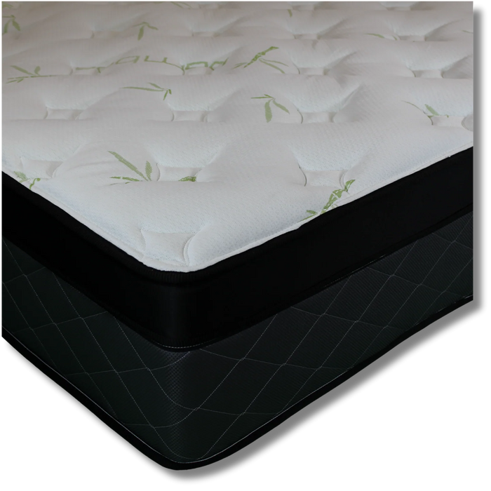 Bundle 2 - Elegant Living Essentials