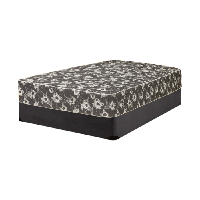 Economy Line 5.5" Mattress Set – Firm Comfort & Essential Support