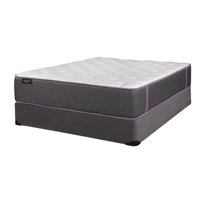 Megnaflix 13.5" Luxury PRO-BACK Mattress Set – Heavy-Duty Pocket Coil Support with Medium Comfort