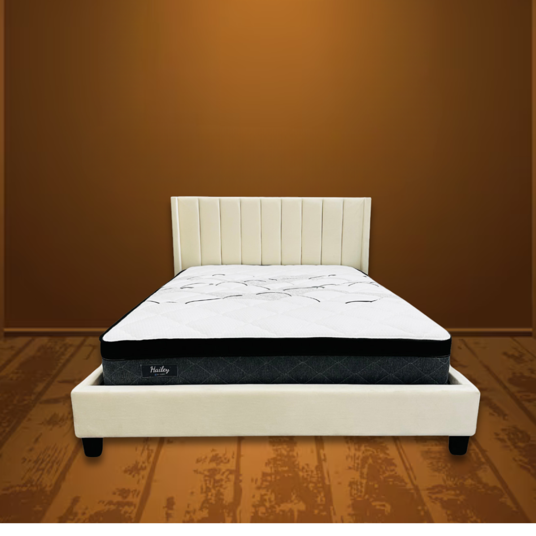 Hailey 10" Euro Top Rolled Mattress
